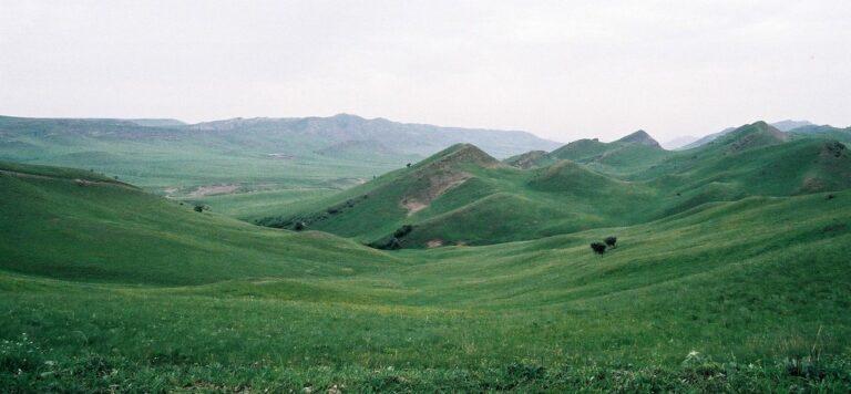 Glooiende groene heuvels in Zuid-Georgië