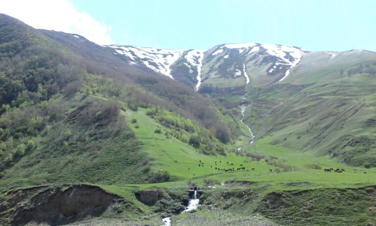 Groene vallei met besneeuwde toppen van de Hoge Kaukasus bij Kazbegi